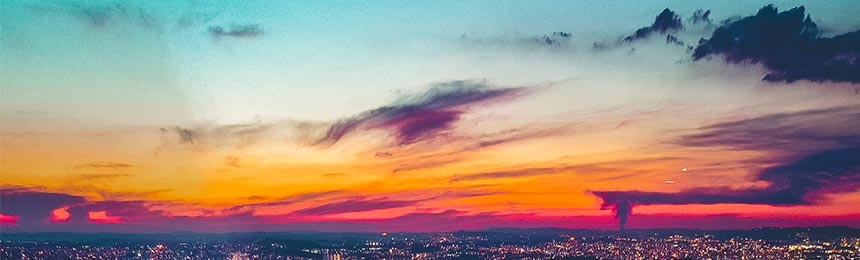 那曲茶虫网_那曲品茶